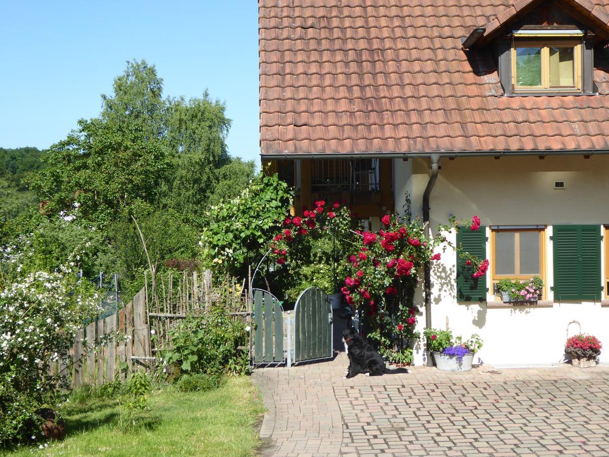 Ferienwohnung Waldblick Zweibruecken Luaran gambar